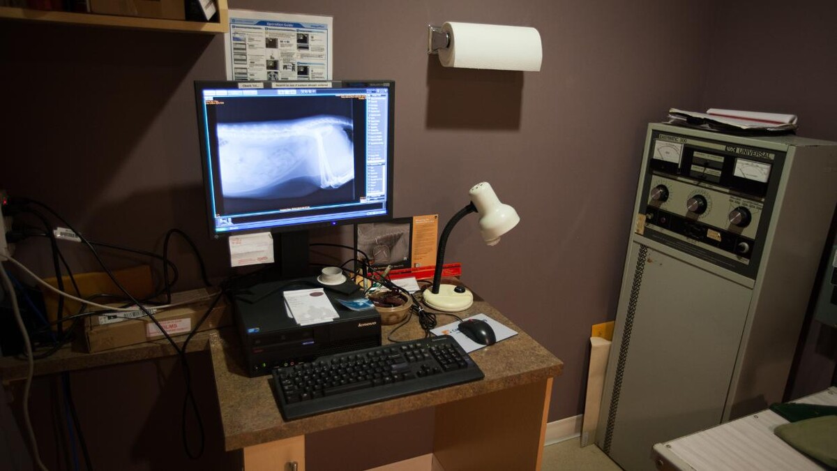 Images Departure Bay Veterinary Hospital