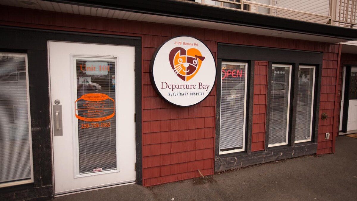 Images Departure Bay Veterinary Hospital