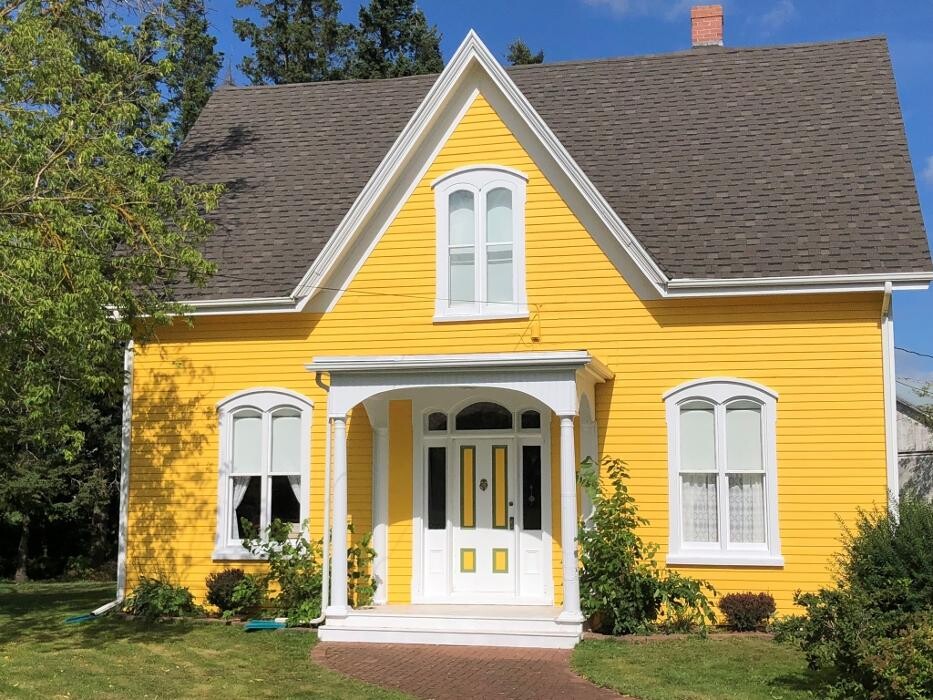 Images Mallard Painting