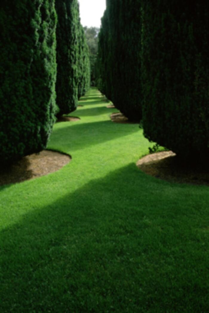 Images Canadian Independent Sod Co Ltd