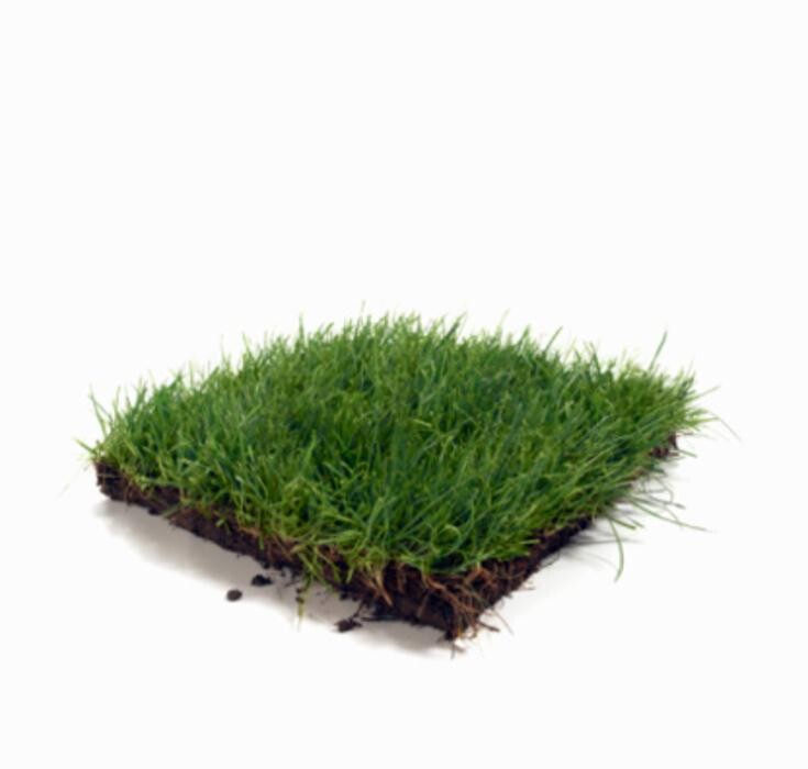 Images Canadian Independent Sod Co Ltd