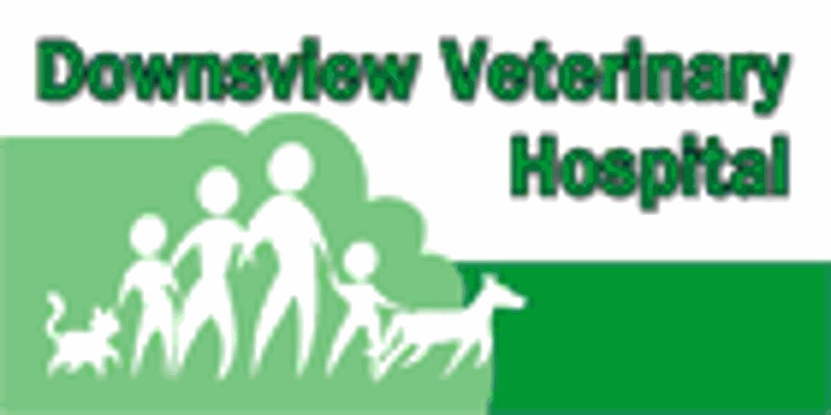 Downsview Veterinary Hospital Logo