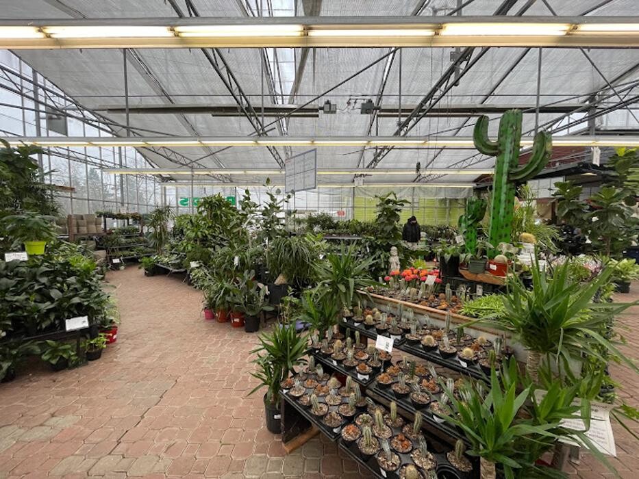 Images Triple Tree Nurseryland