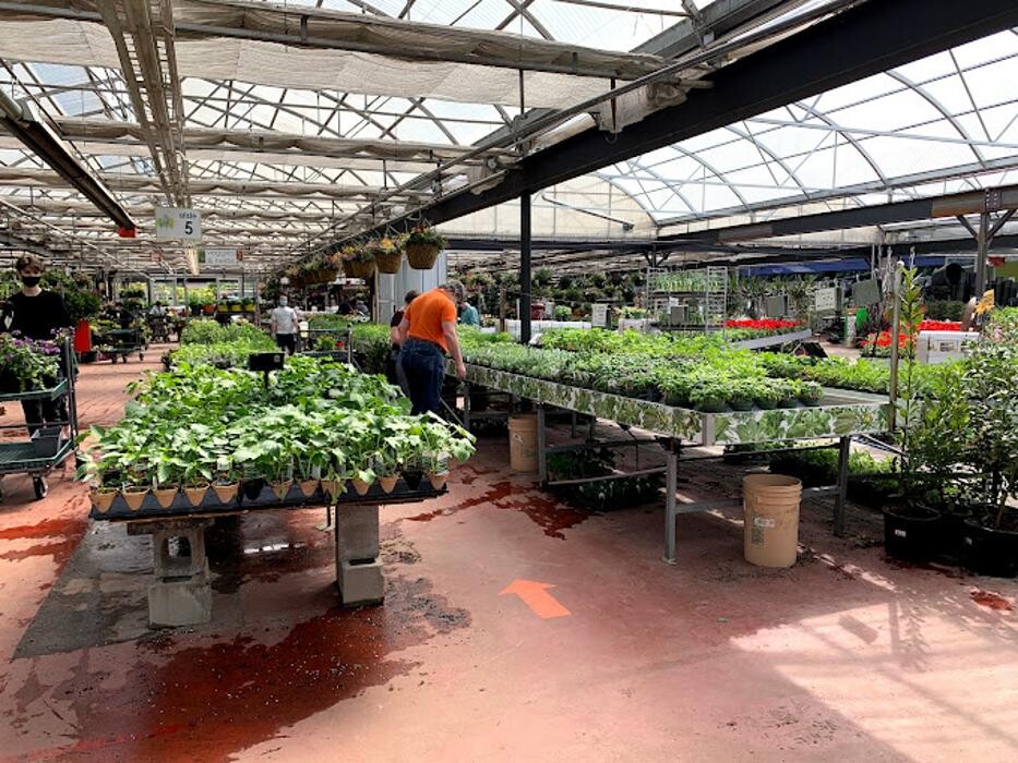 Images Triple Tree Nurseryland