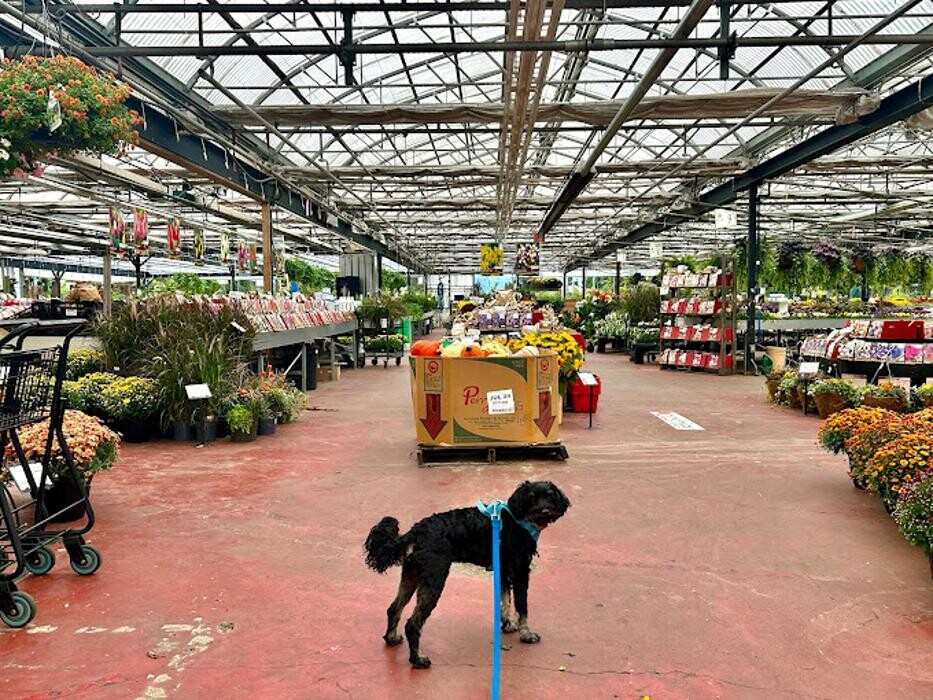 Images Triple Tree Nurseryland