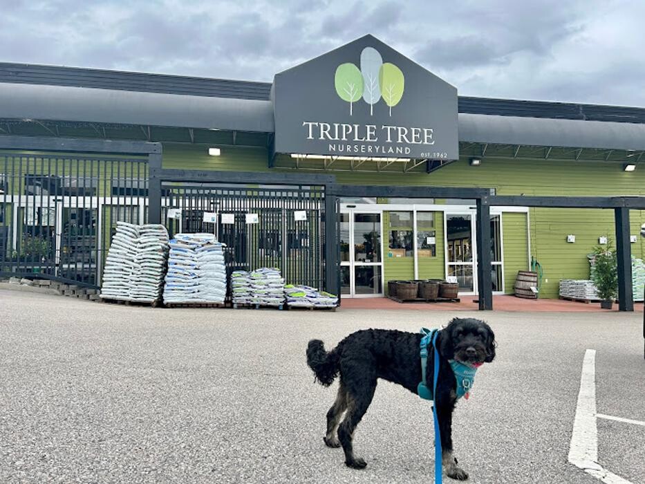 Images Triple Tree Nurseryland