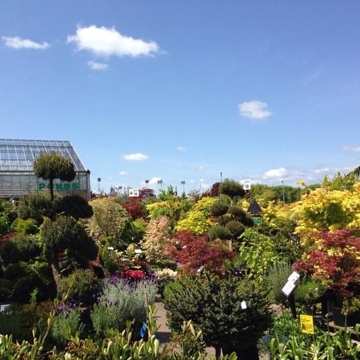 Images Triple Tree Nurseryland