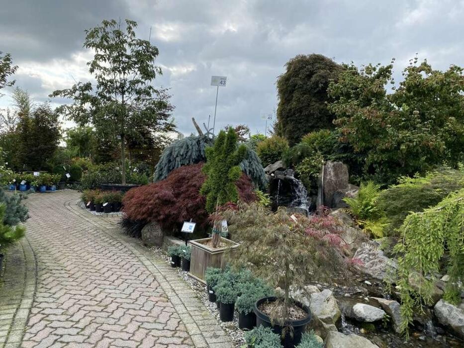 Images Triple Tree Nurseryland