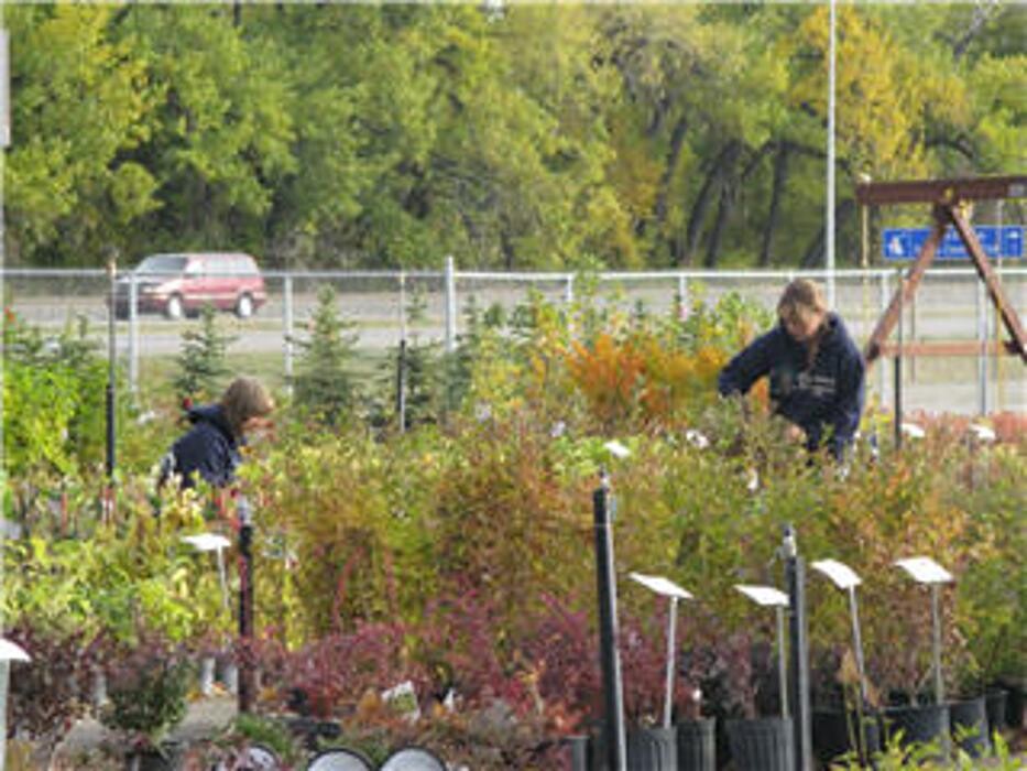 Images Coaldale Nurseries Ltd