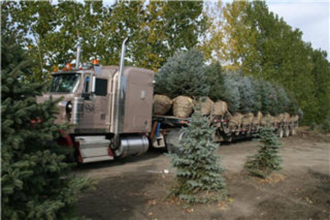 Images Coaldale Nurseries Ltd