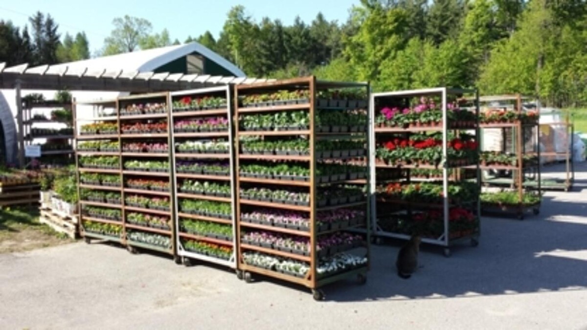 Images Davis Feed & Farm Supply