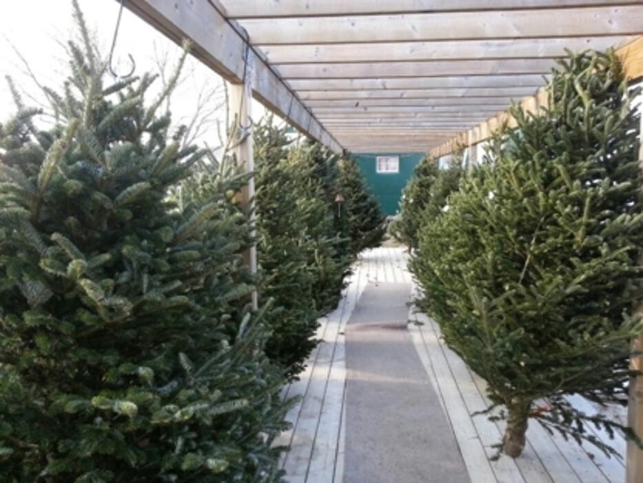 Images Davis Feed & Farm Supply