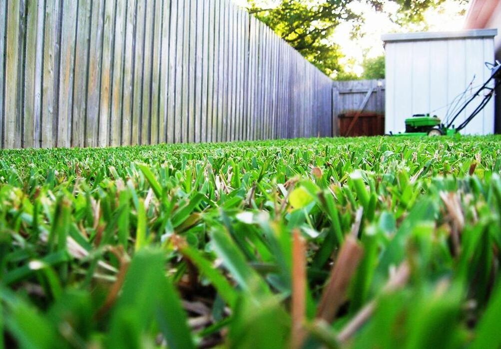 Images Affordable Lawn Care