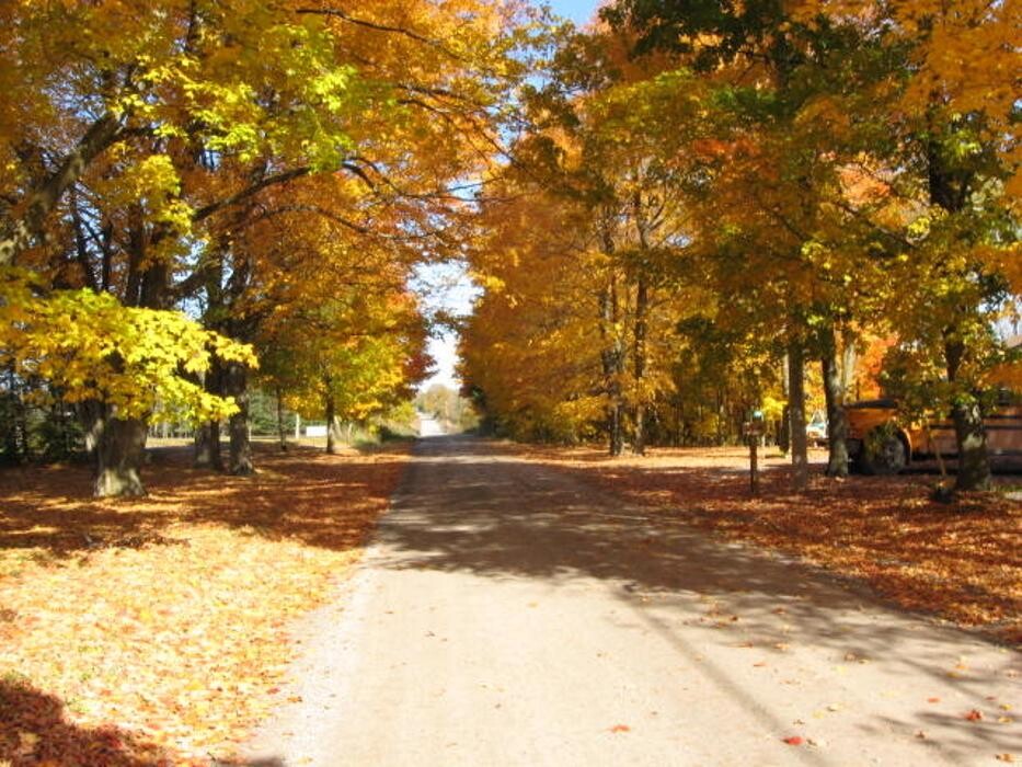 Images Lane Veterinary Services