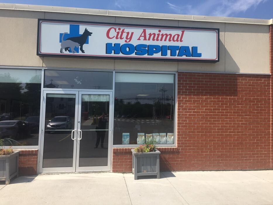 Images City Animal Hospital