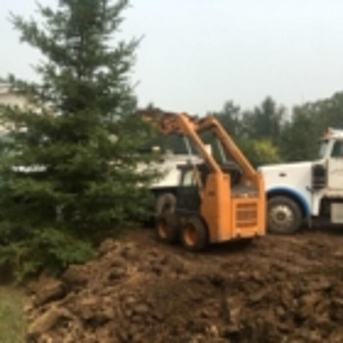 Images Coyote Wild Inc