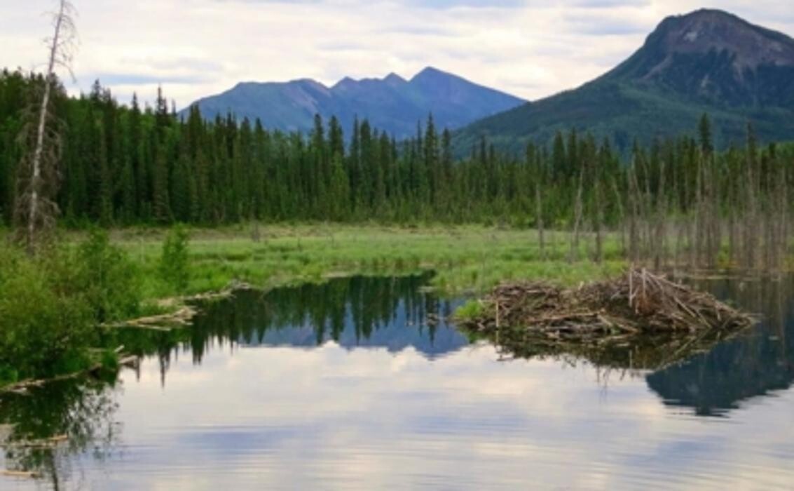 Images Toad River Lodge & RV Park