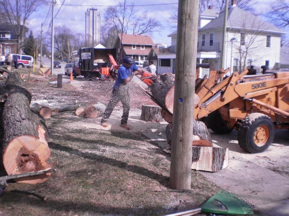 Images Tomahawk Tree & Service