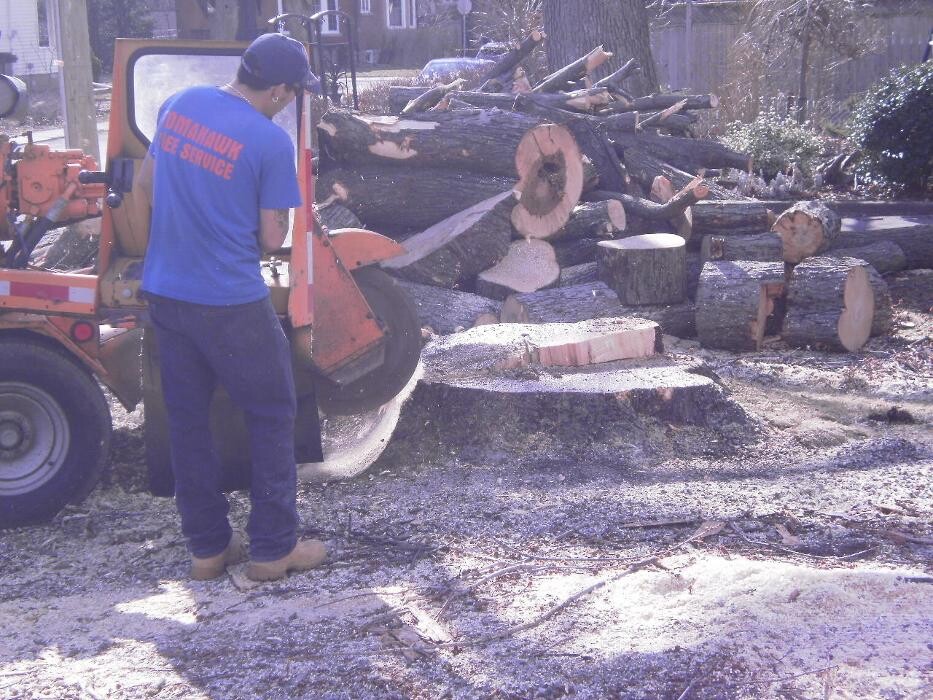 Images Tomahawk Tree & Service
