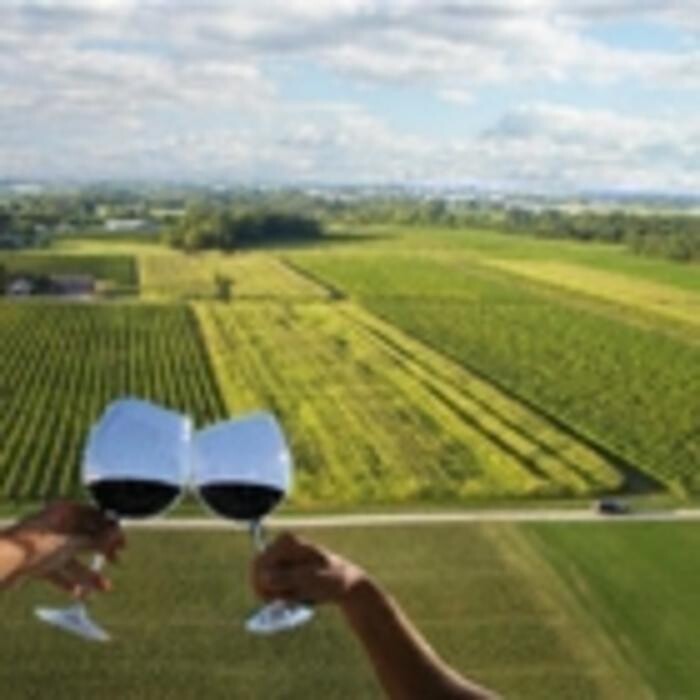 Images Rockway Vineyards Golf
