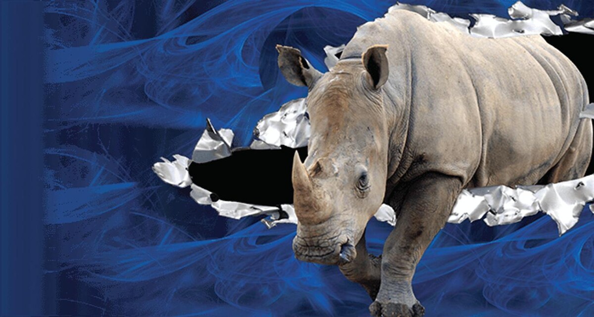 Images R & S Rhino Glass