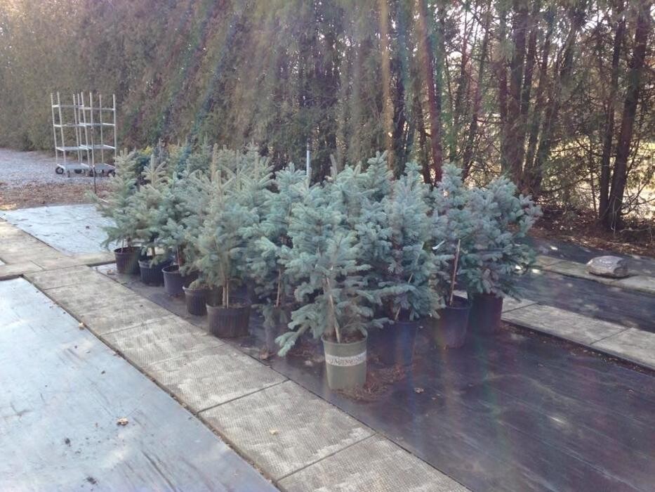 Images Nanticoke Nurseries & Garden Centre