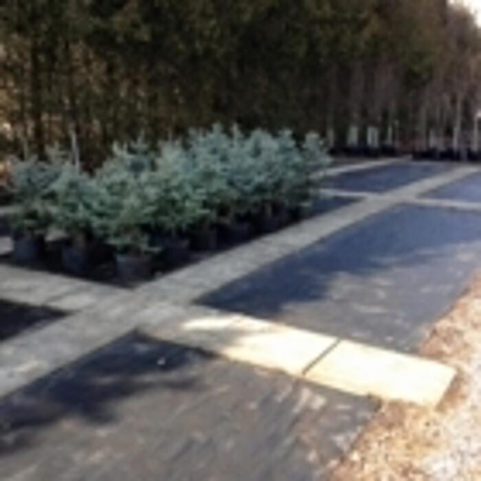 Images Nanticoke Nurseries & Garden Centre