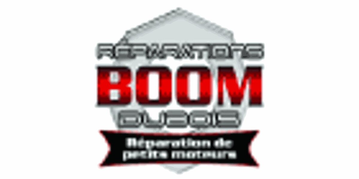 Reparations Boom Dubois Logo