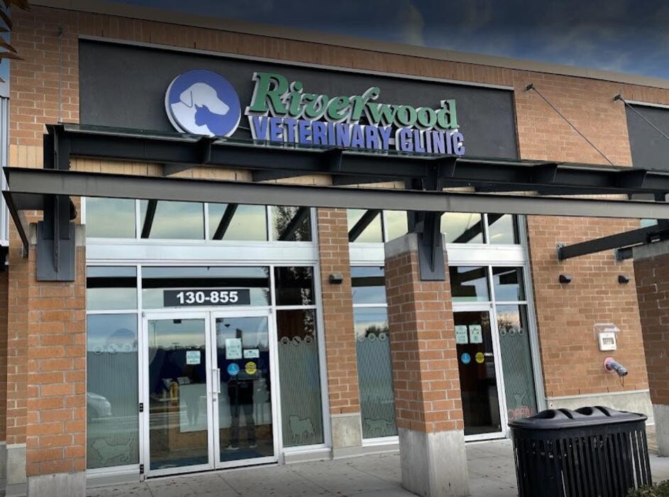 Images Riverwood Veterinary Clinic