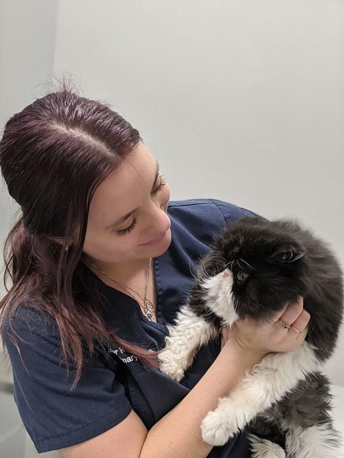 Images Riverwood Veterinary Clinic