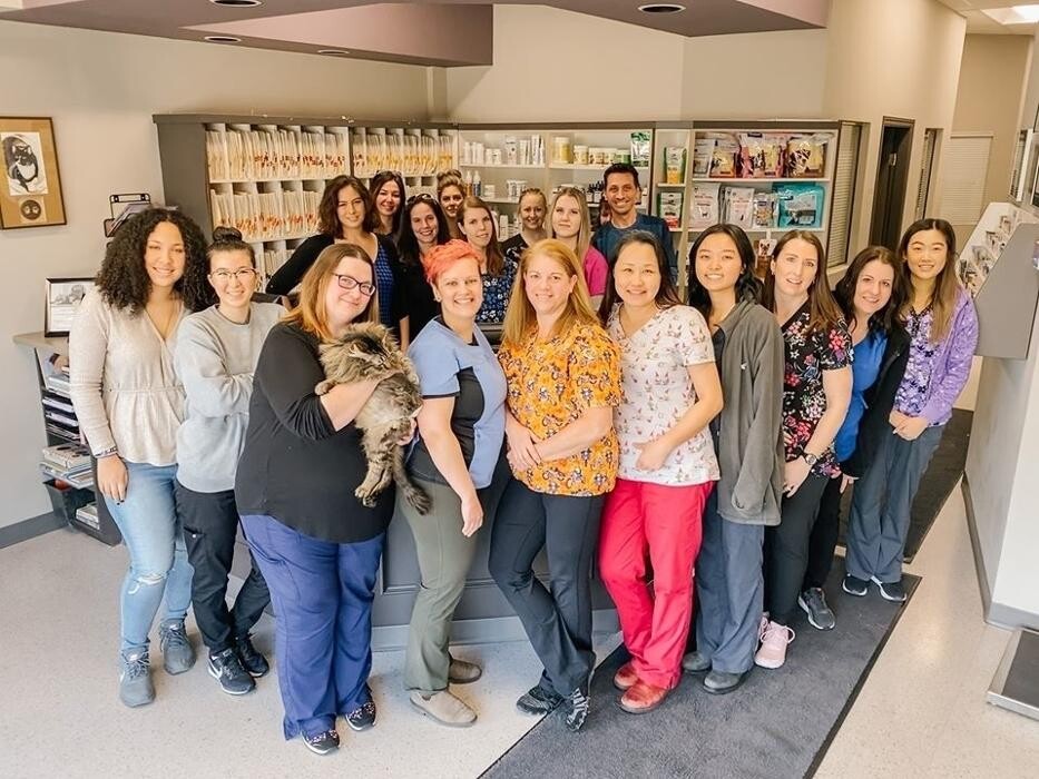 Images Riverwood Veterinary Clinic