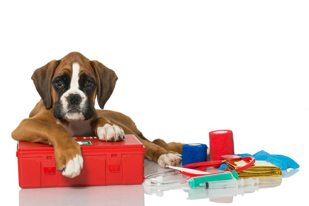 Images Riverwood Veterinary Clinic