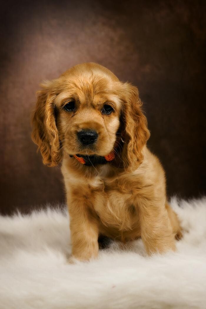 Images COOL-Man Photography