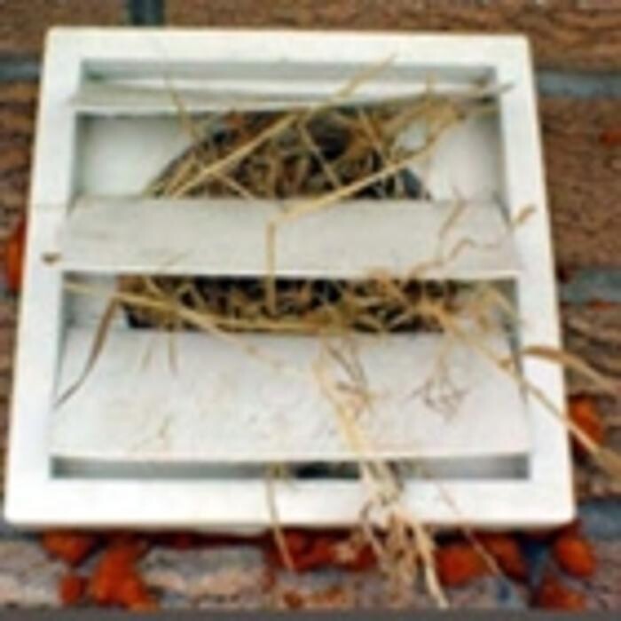 Images Ozone Duct Cleaning