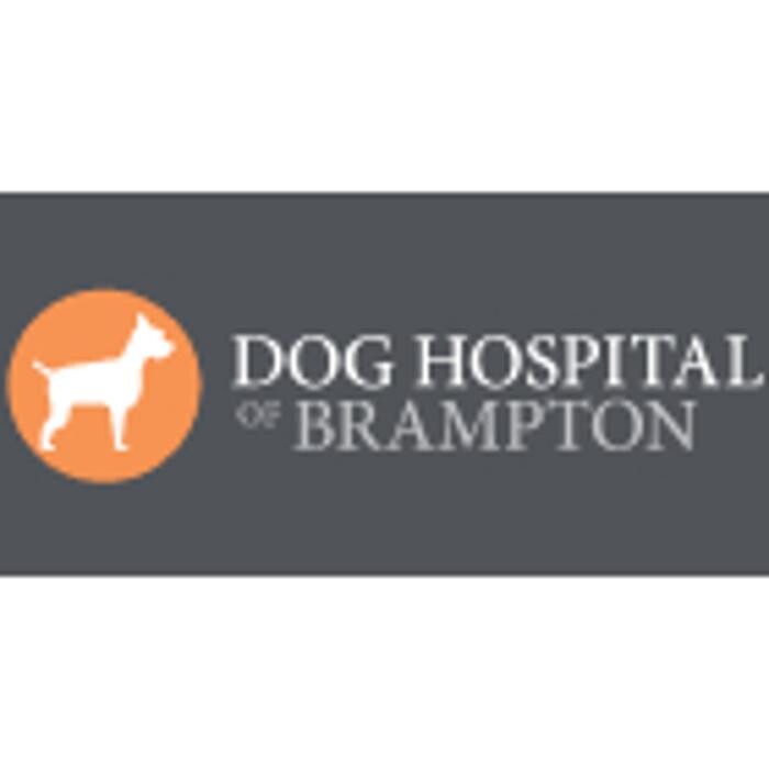 Images The Dog Hospital
