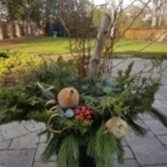 Images Perennial Gardener