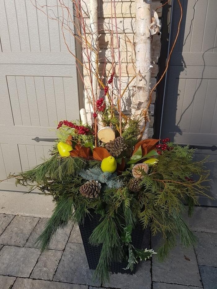 Images Perennial Gardener