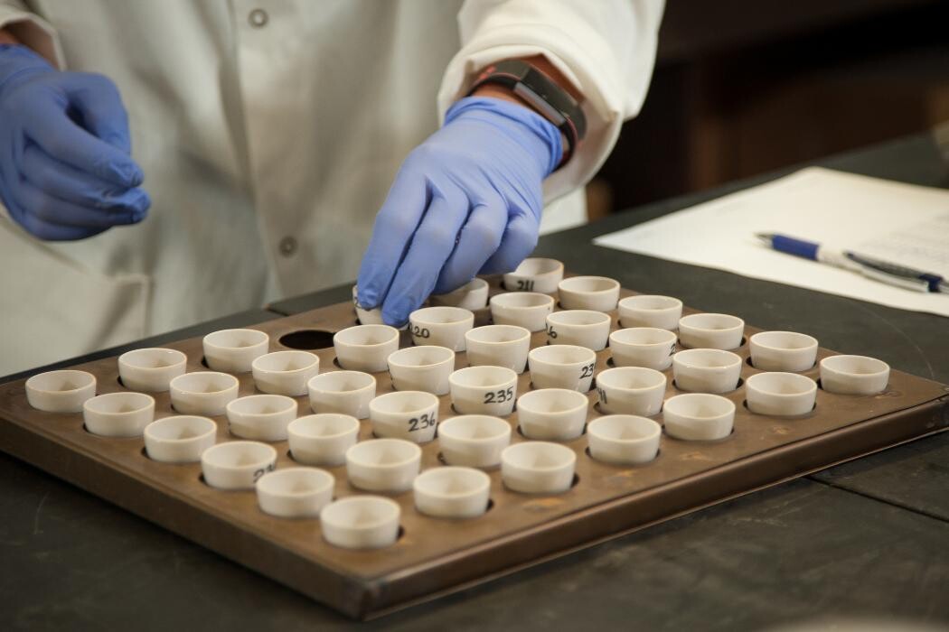 Images Down To Earth Labs Inc