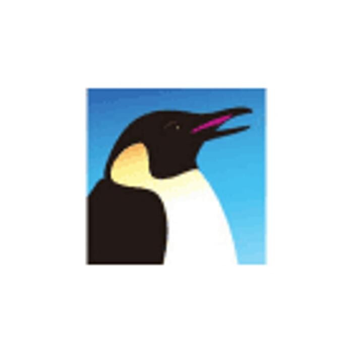 Images Penguin Vapor Shop