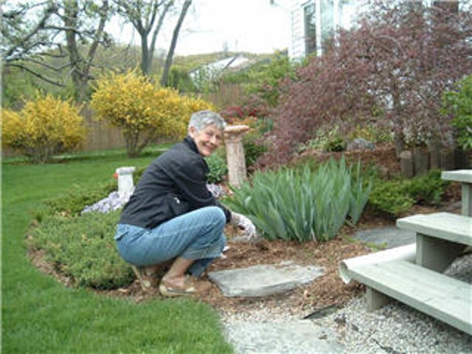 Images Solutions Rehabilitation & Consulting
