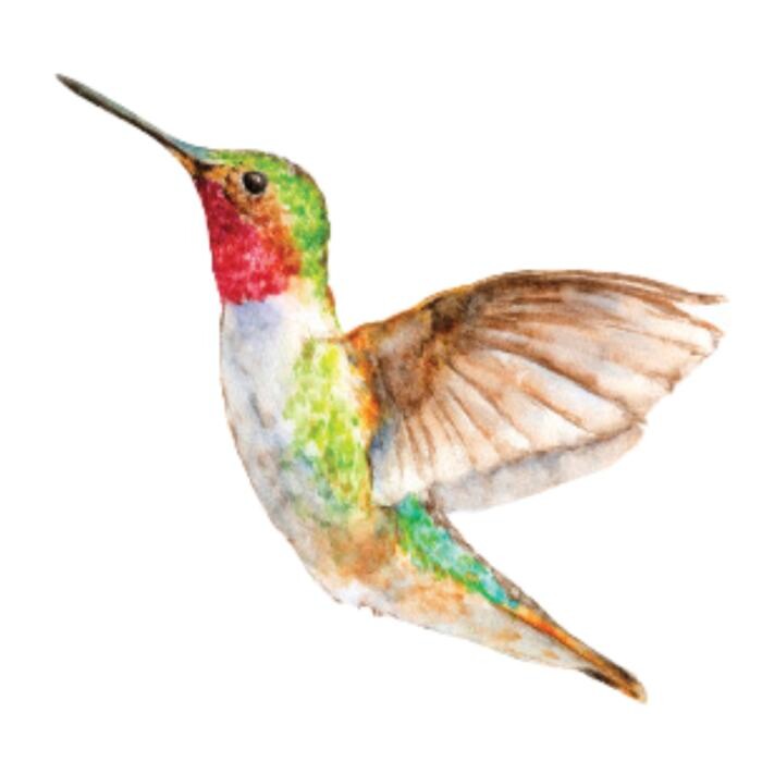 Images Hummingbird Sewing