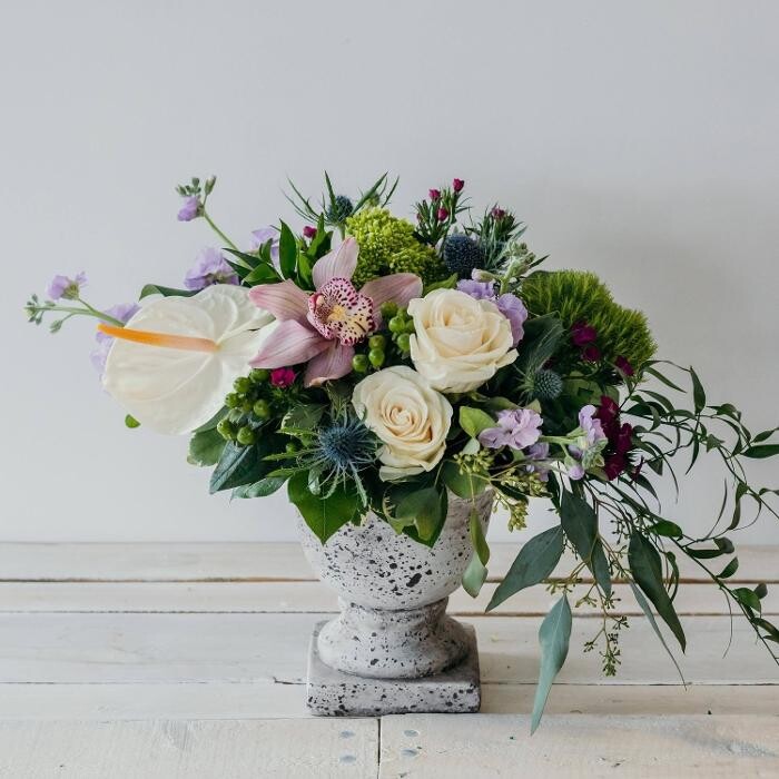 Images Springhill Flowers