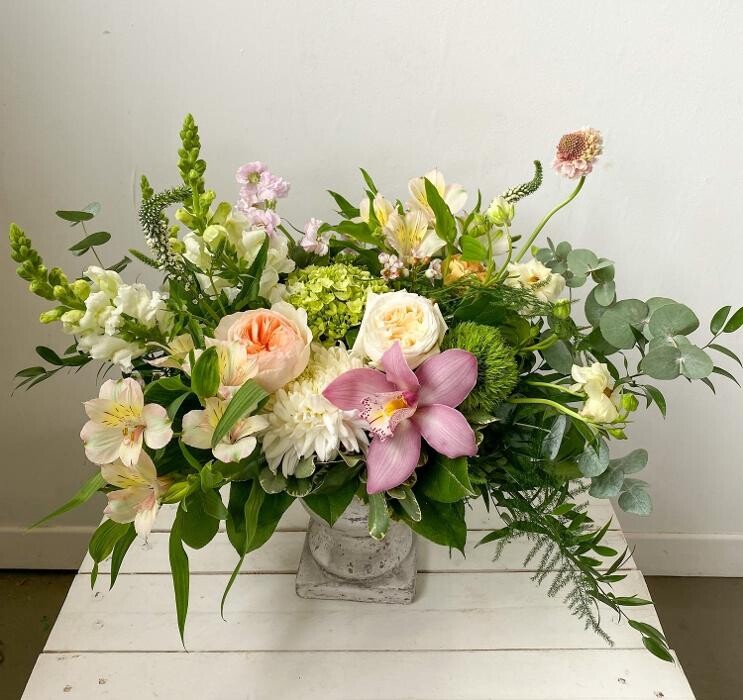 Images Springhill Flowers