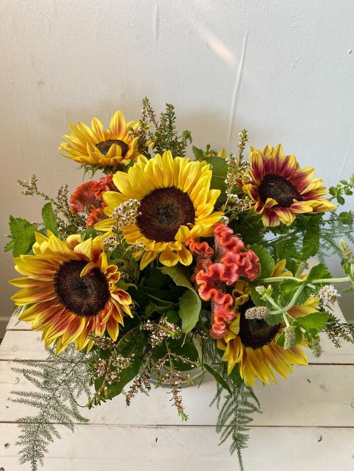 Images Springhill Flowers