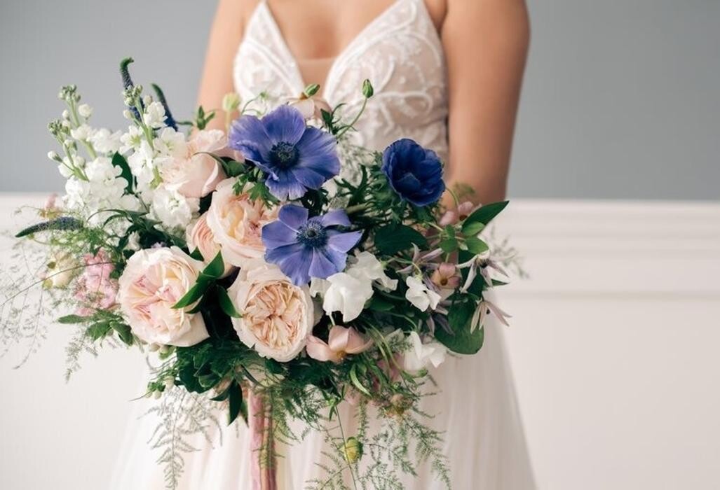 Images Springhill Flowers