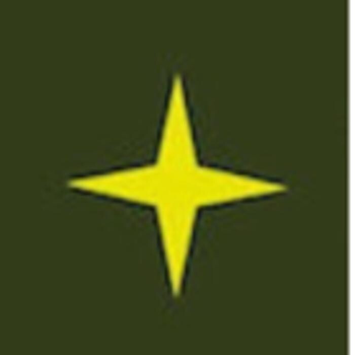 Brights Window Cleaning Logo