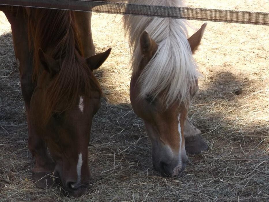 Images Ranch La Douceur