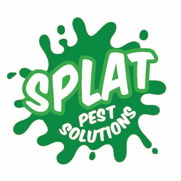 Images Splat Pest Solutions