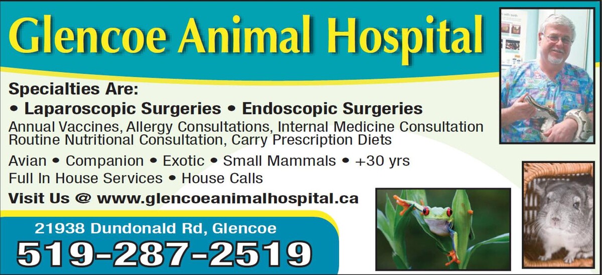 Images Glencoe Animal Hospital