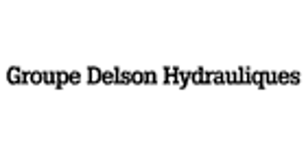 Groupe Delson Hydraulique Inc Logo